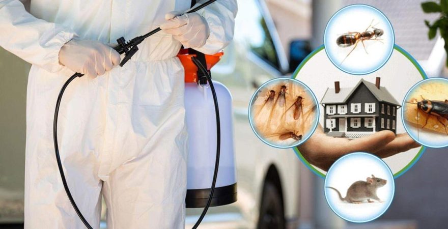 Yatağan Böcek İlaçlama