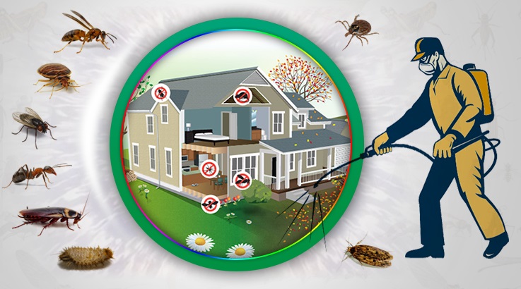 Yatağan Böcek İlaçlama