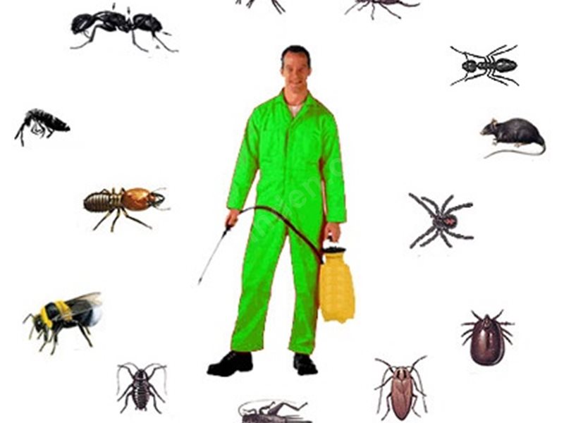 Yatağan Böcek İlaçlama